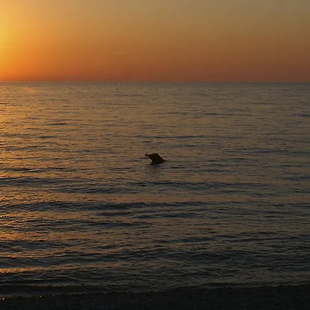 Nettuno Resort 4*