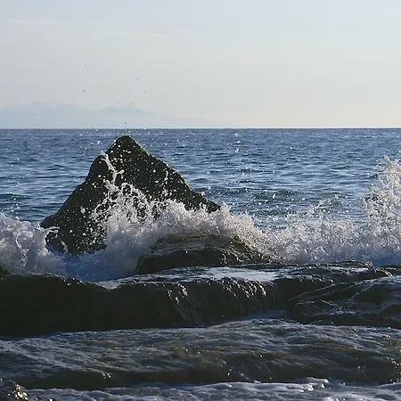 Resort Nettuno Resort 4*